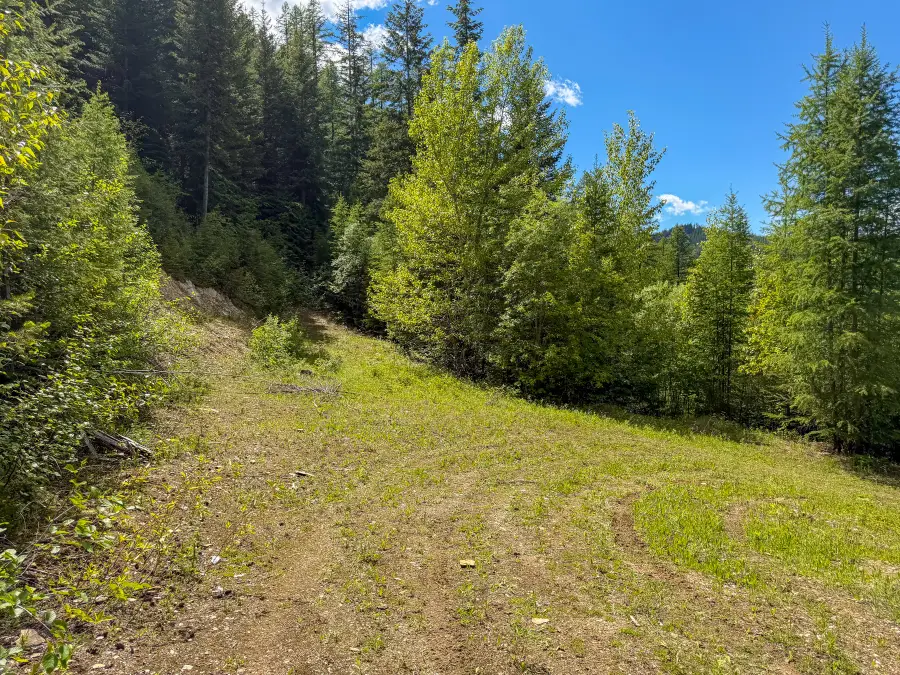 Tract 1 Pardee Flat Road, Superior, MT 59872 - #3