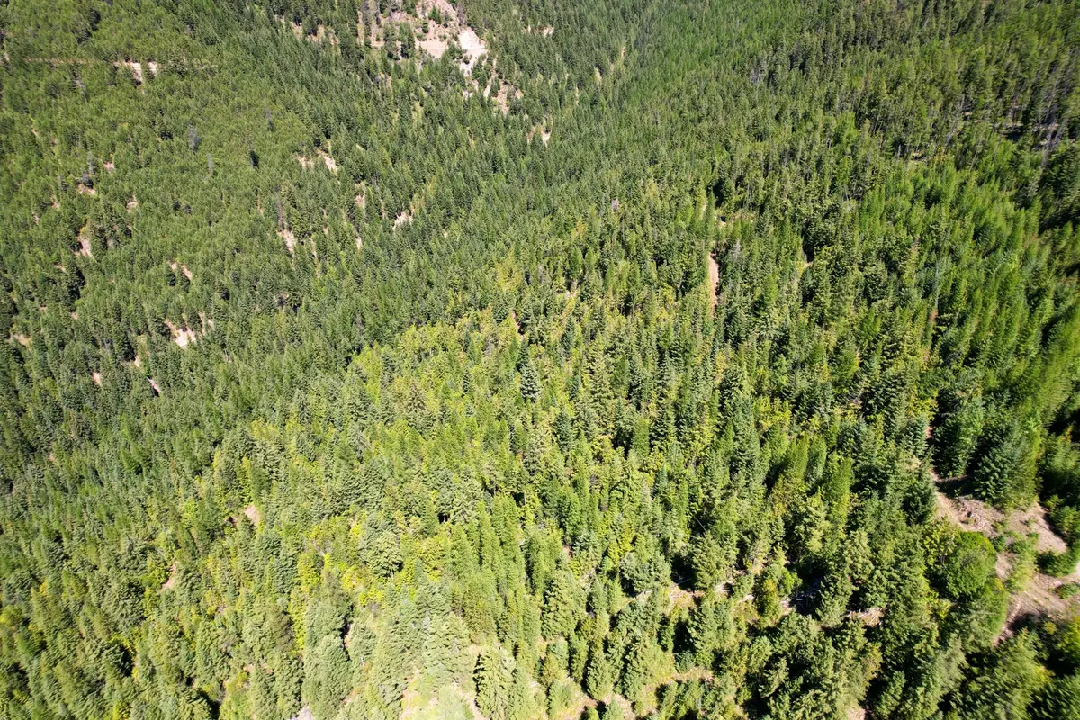 Tract 2 Pardee Flat Road, Superior, MT 59872 - #1