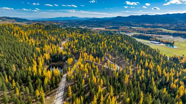 1173 Whitefish Ridge Road, Whitefish, MT 59937