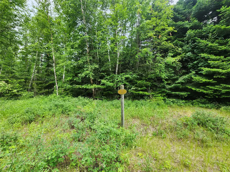 13727 Big Hawk Drive, Bigfork, MT 59911 - #3