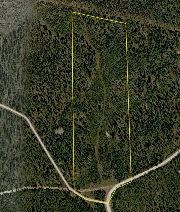 Lot 13 TBD Herring Flats Road, Anaconda, MT 59711