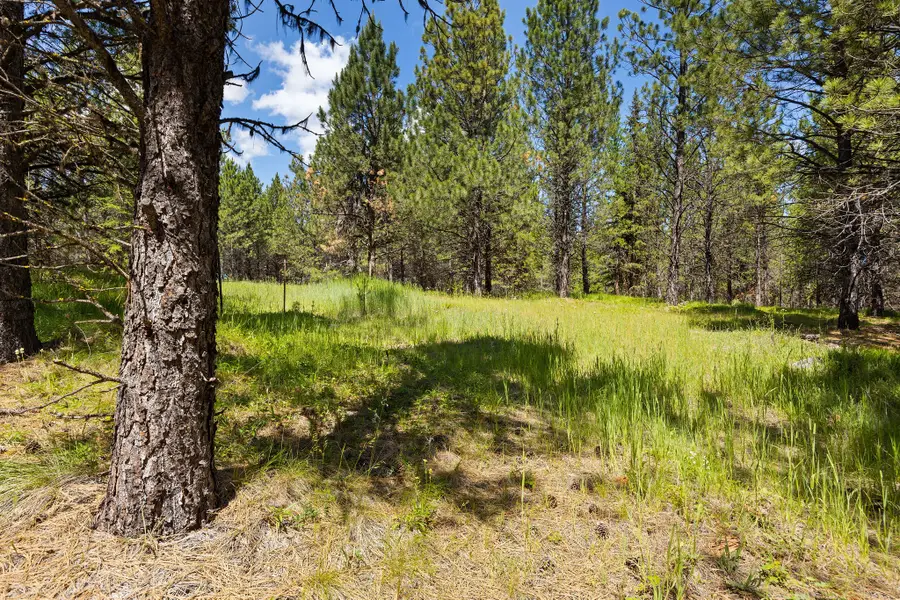 9295 Lost Prairie Road, Marion, MT 59925 - #3