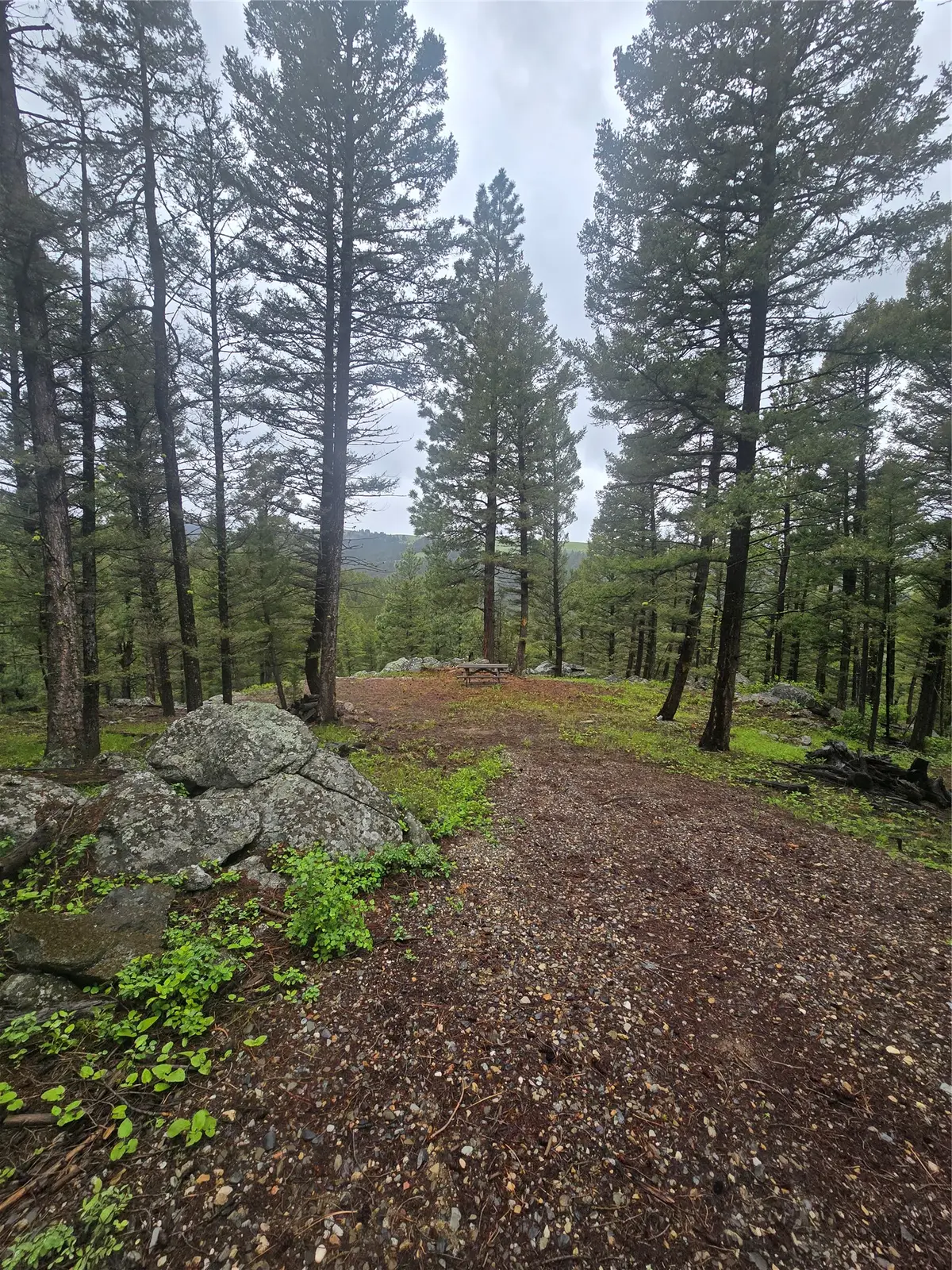 60 Snowberry Lane, Drummond, MT 59832 - #1