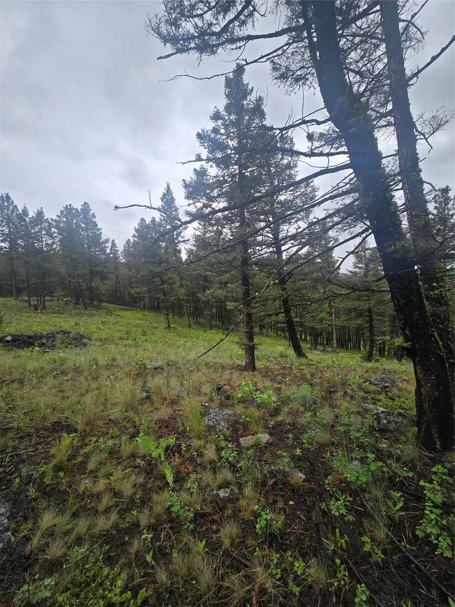 60 Snowberry Lane, Drummond, MT 59832 - #2
