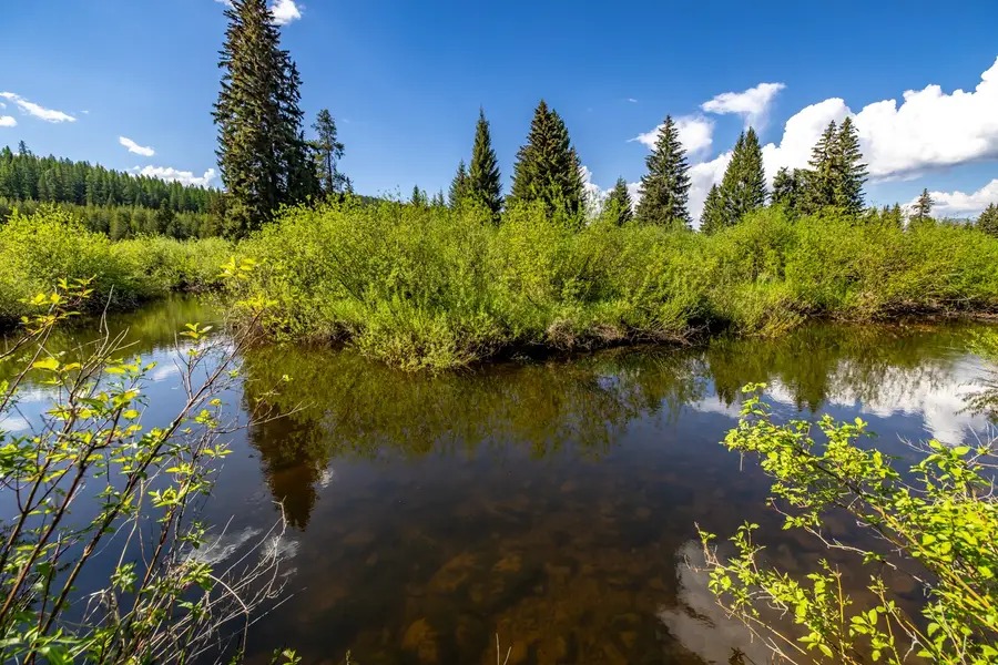 NHN Fortine Creek Road, Trego, MT 59934 - #3