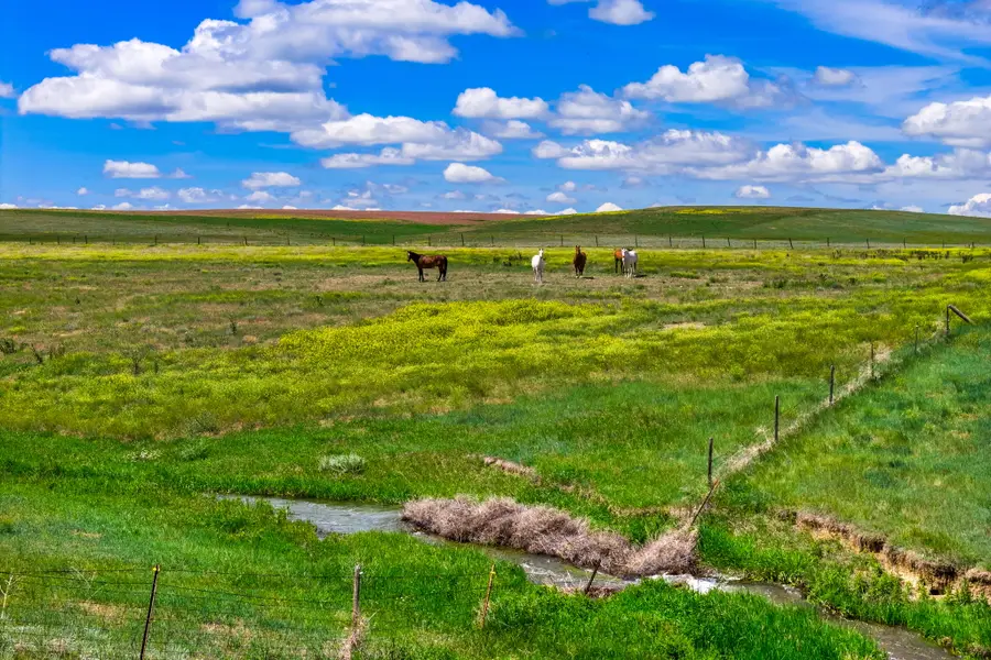 Lot 5 13th Lane Ne, Power, MT 59468 - #3