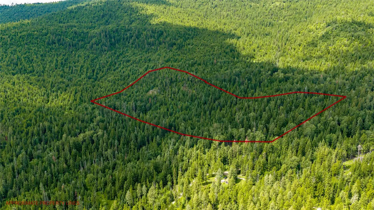 NHN Peach Park Loop, Rollins, MT 59931 - #1