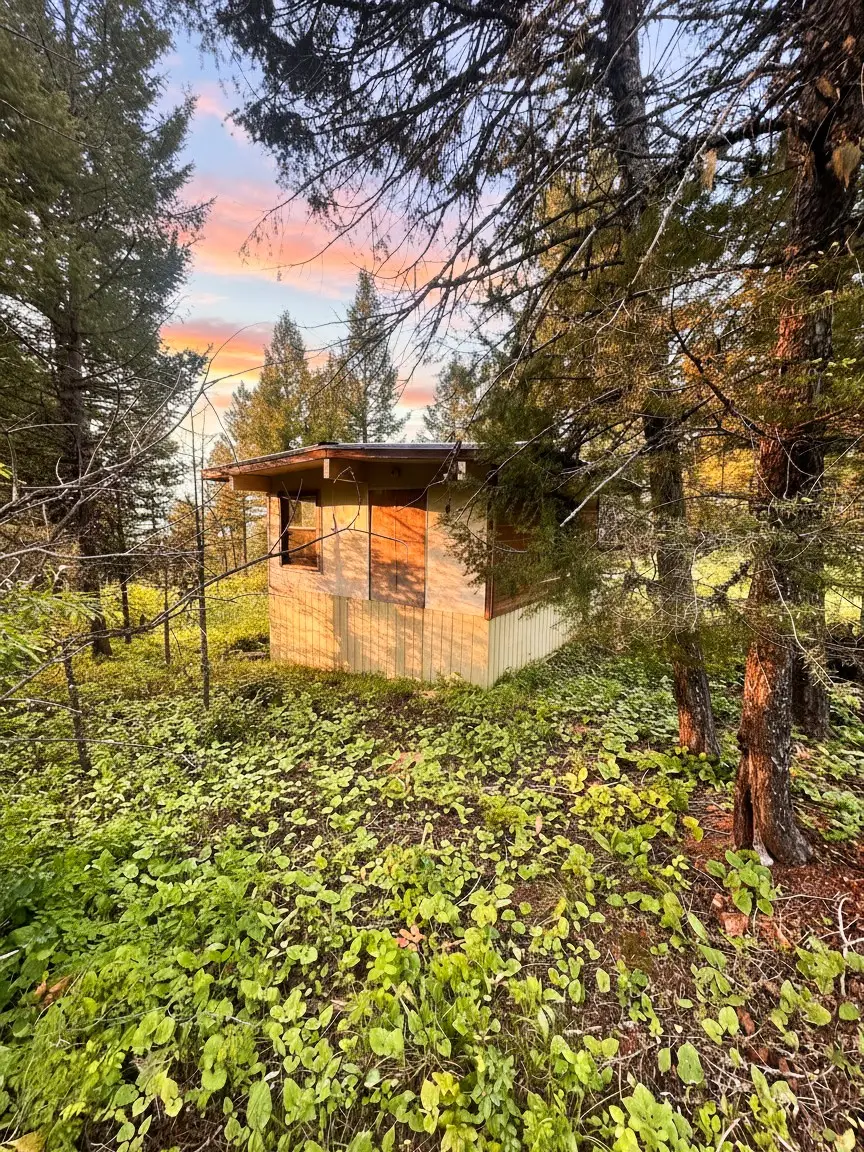 NHN Ashby Creek Road, Potomac, MT 59823 - #3