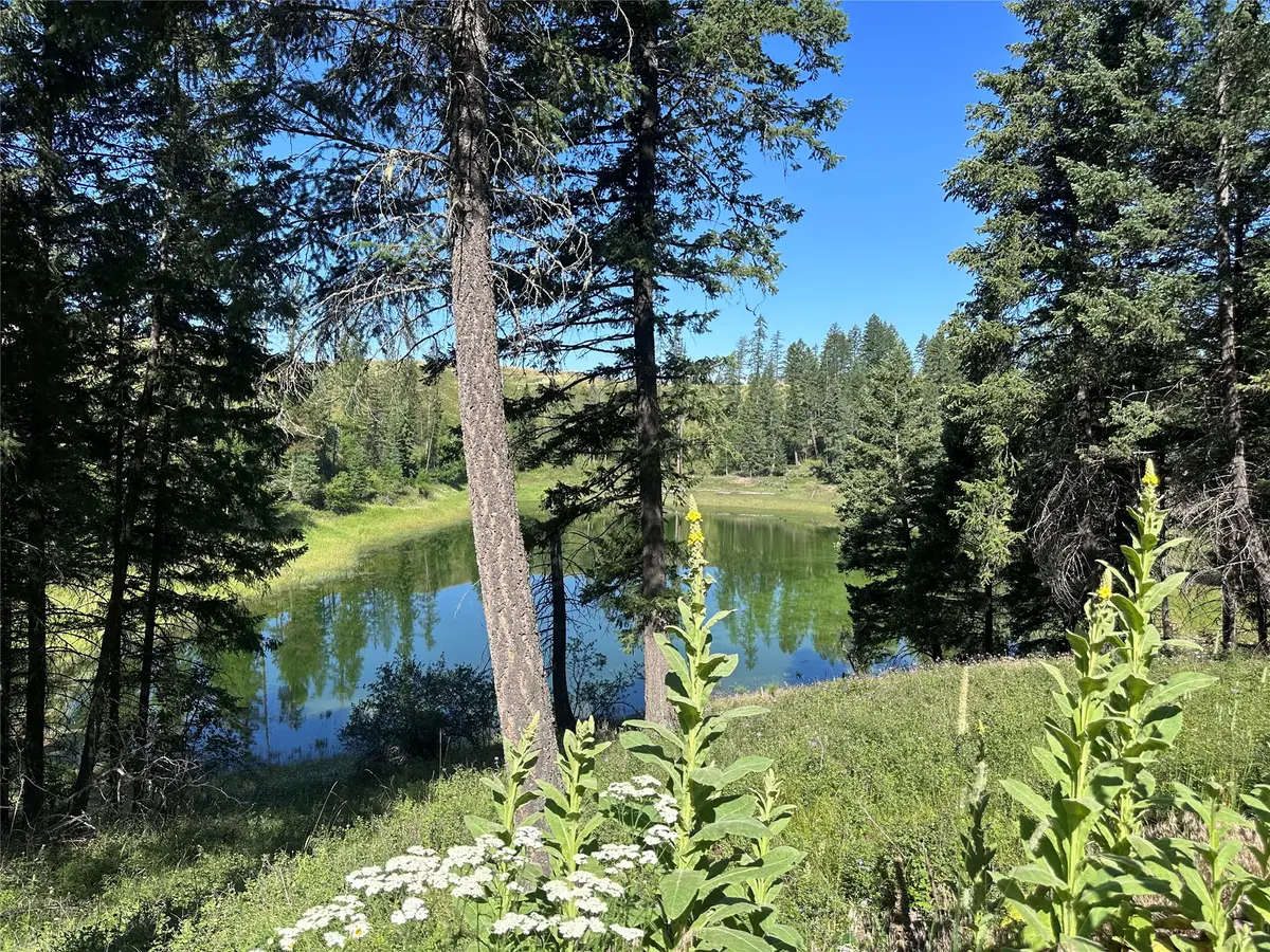 196 Belterra Lane, Bigfork, MT 59911 - #1
