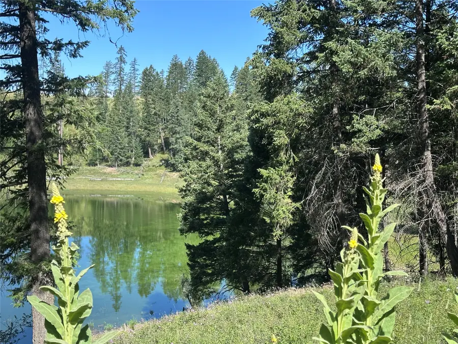 196 Belterra Lane, Bigfork, MT 59911 - #2