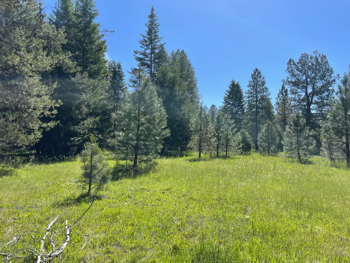 NHN S Shore Drive, Trout Creek, MT 59874 - #1