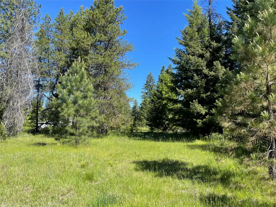 NHN S Shore Drive, Trout Creek, MT 59874 - #3