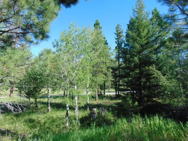 4615 Abe Lincoln Road, Lincoln, MT 59639