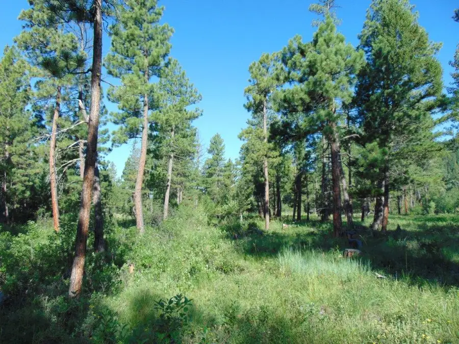 4615 Abe Lincoln Road, Lincoln, MT 59639 - #2