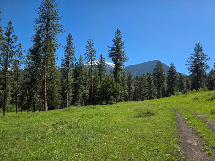 NHN Allard Way, Saint Ignatius, MT 59865 - #2