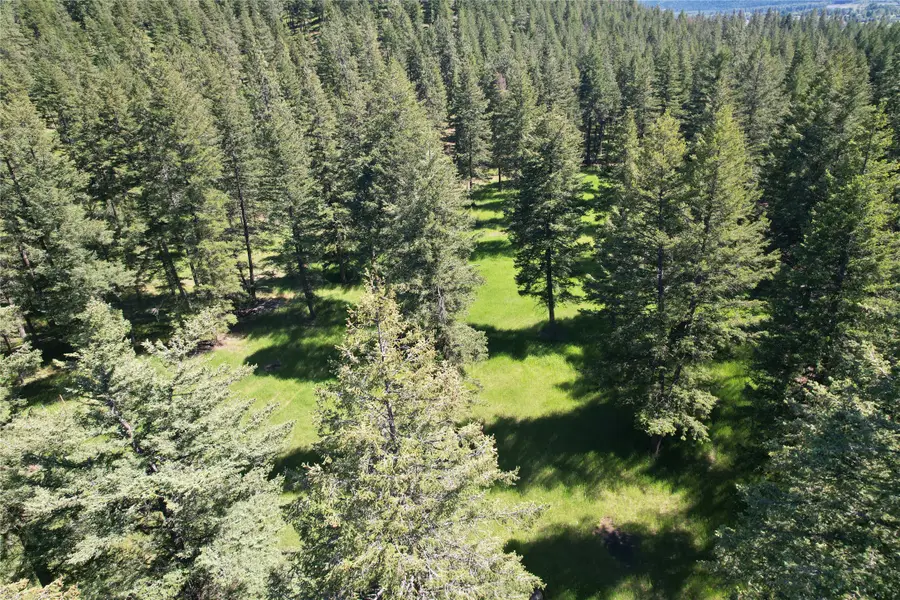 NNN Buckskin Lane, Frenchtown, MT 59834 - #3