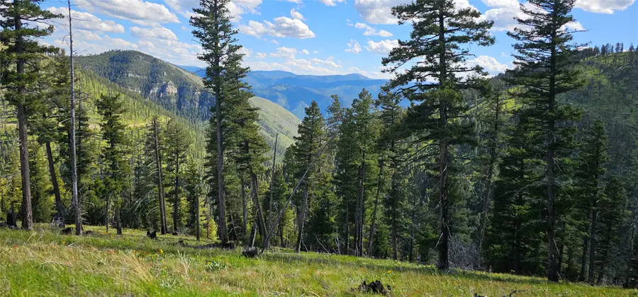 4 Tract, Garnet Range, Drummond, MT 59825 - #3