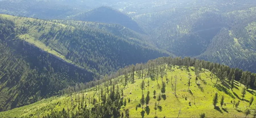5 Tract, Garnet Range, Drummond, MT 59825 - #3