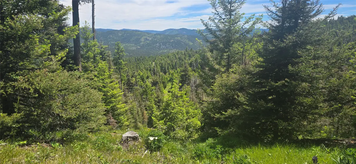 9 Tract, Garnet Range, Drummond, MT 59832 - #1