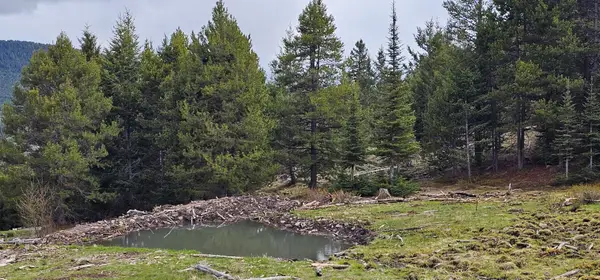 10 Tract, Garnet Range, Drummond, MT 59832