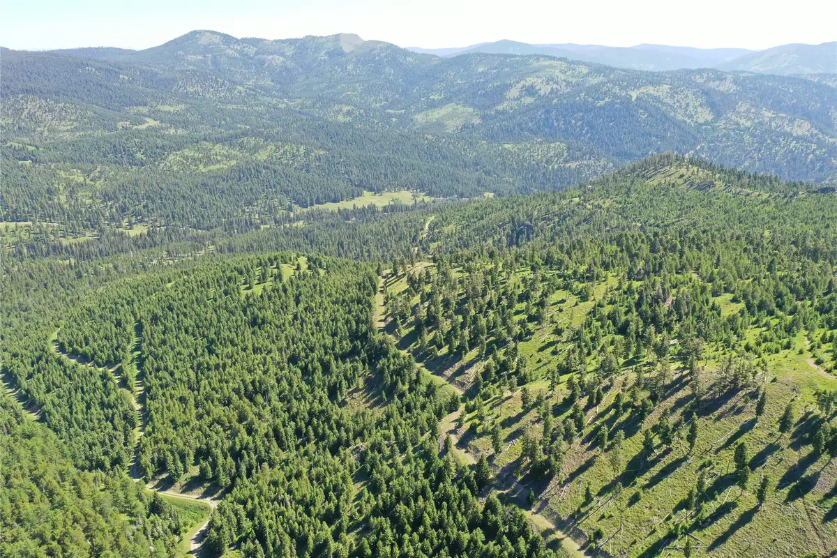 13 Tract, Garnet Range, Drummond, MT 59832 - #1