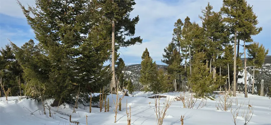 13 Tract, Garnet Range, Drummond, MT 59832 - #2