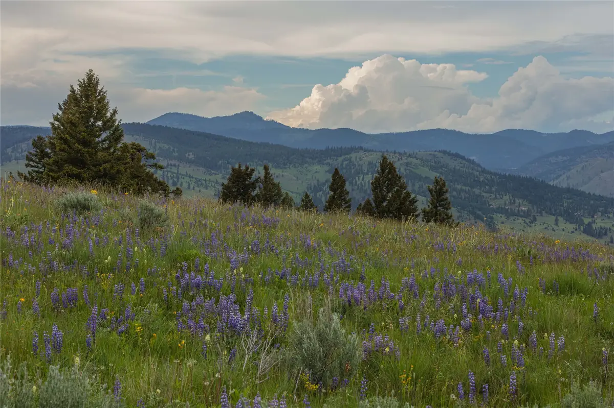 3 Tract, Bull Elk, Drummond, MT 59832 - #1