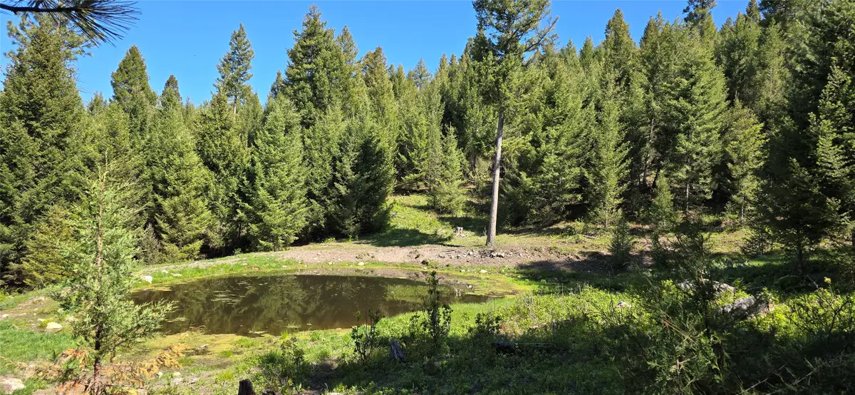 4 Tract, Bull Elk, Drummond, MT 59832 - #1