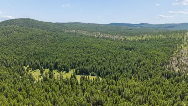 554 Pinkham Road, Rexford, MT 59930