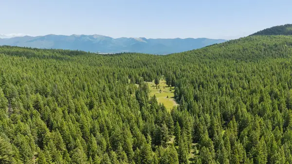 160 Pinkham Creek Road, Rexford, MT 59930