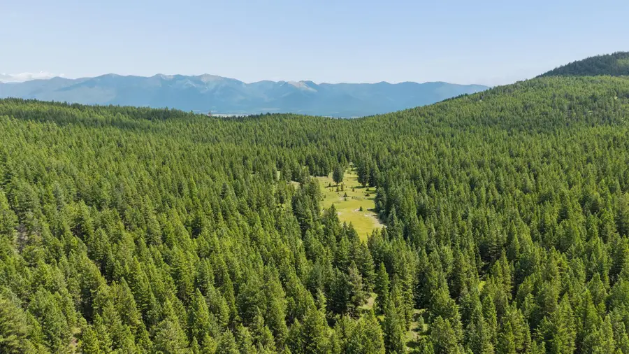 160 Pinkham Creek Road, Rexford, MT 59930 - #2