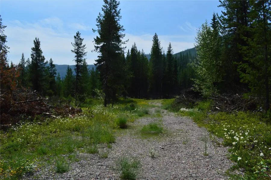 8990 North Fork Road, Polebridge, MT 59928 - #2