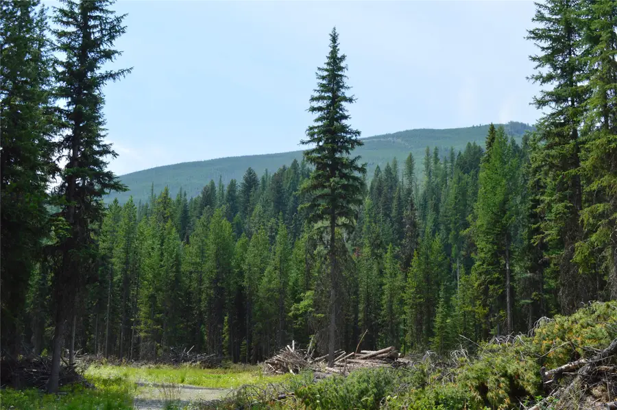 8990 North Fork Road, Polebridge, MT 59928 - #3