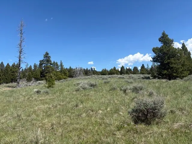 NHN Mt Highway 279, Lincoln, MT 59639 - #2