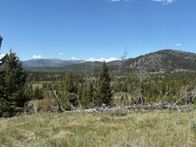 NHN Mt Highway 279, Lincoln, MT 59639 - #3