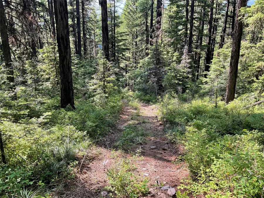 nhn Clark Hinchwood Road, Hot Springs, MT 59845 - #3
