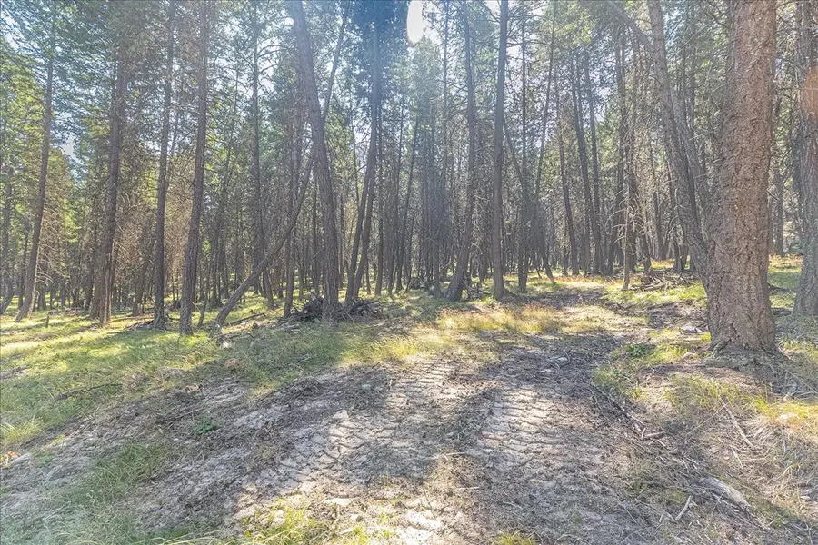 Nhn Enchanted Way, Rexford, MT 59930 - #2