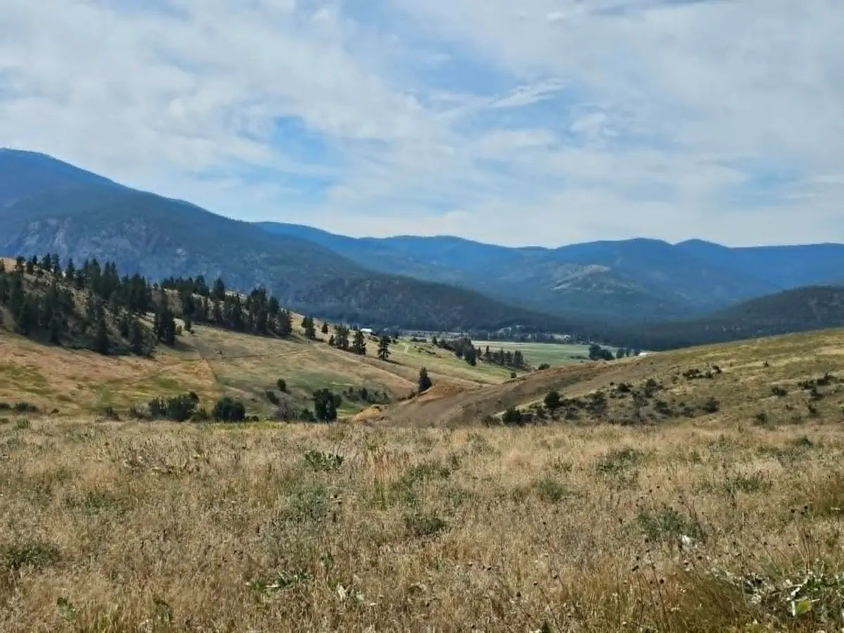 132 Hillview Road, Plains, MT 59859 - #1
