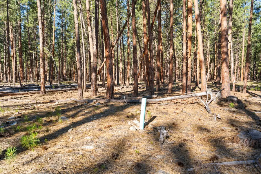 NHN Blair Lane, Victor, MT 59875 - #3