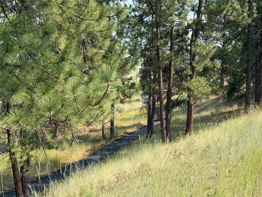 984 Sandhill Loop, Florence, MT 59833 - #3