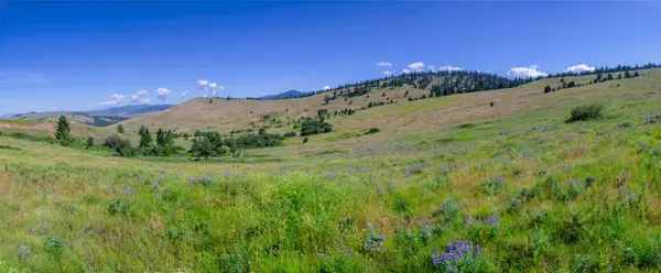 4815 Gleneagle Way, Missoula, MT 59808