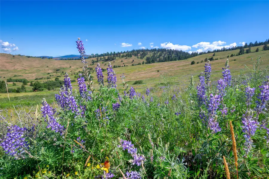 NHN Gleneagle Way, Missoula, MT 59808 - #3