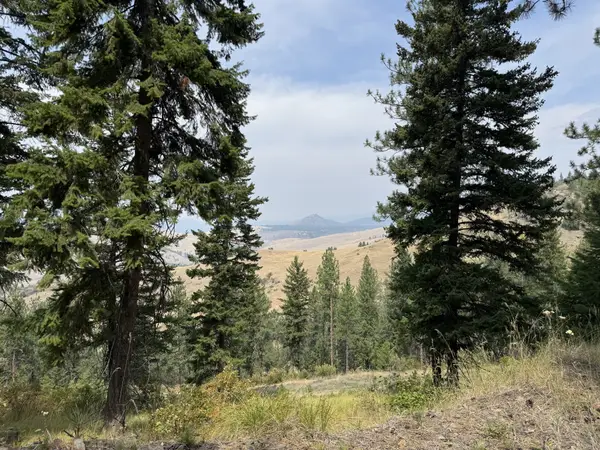 Lot 4 Yosyrian Lane, Plains, MT 59859