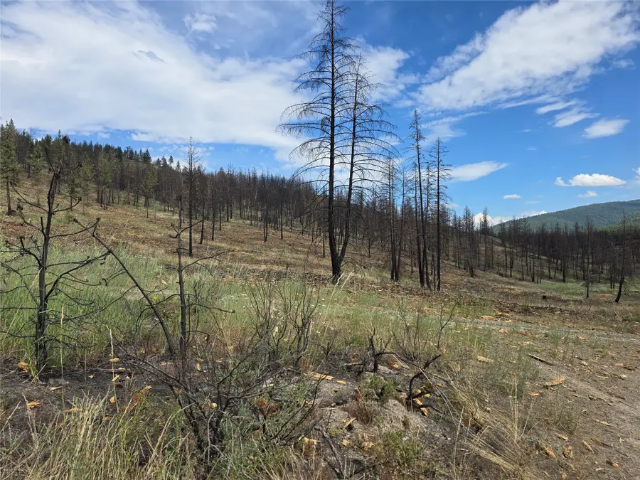 nhn Mt Highway 28, Plains, MT 59859 - #2