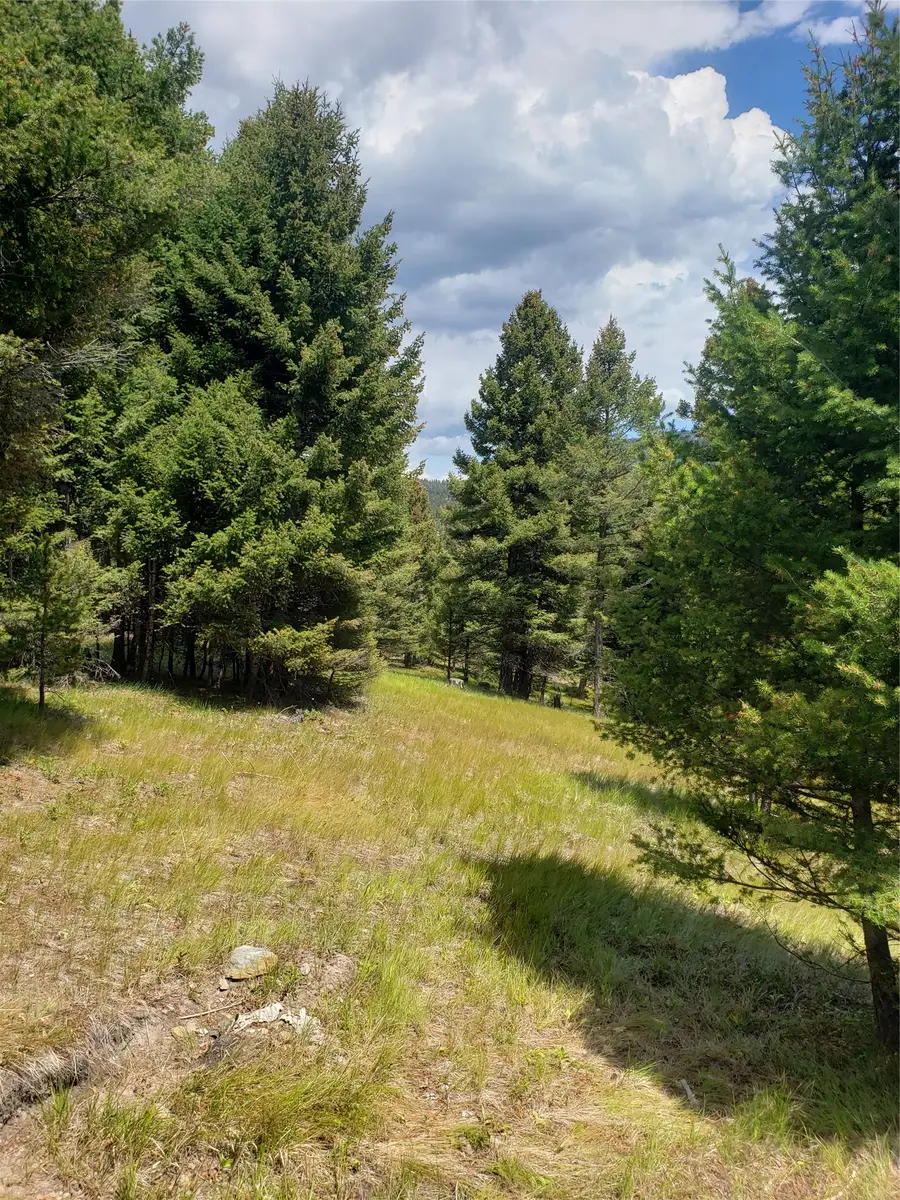 300 Hematite Road, Helmville, MT 59843 - #2
