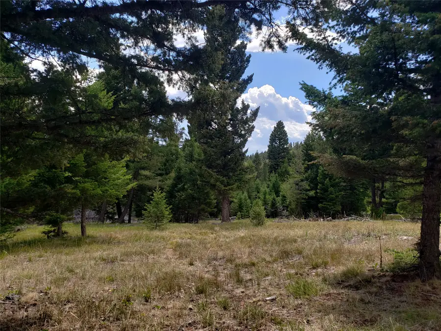 300 Hematite Road, Helmville, MT 59843 - #3