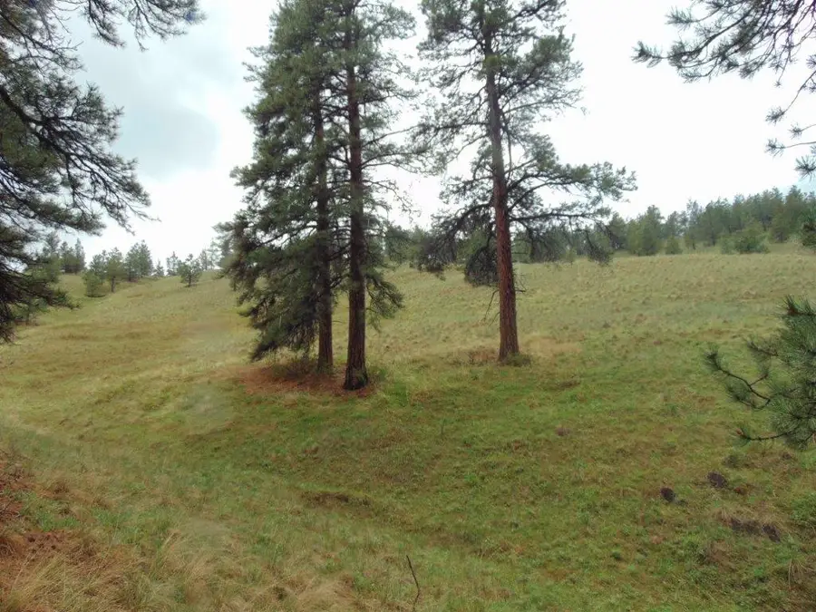TBD Shady Springs, Cascade, MT 59421 - #3