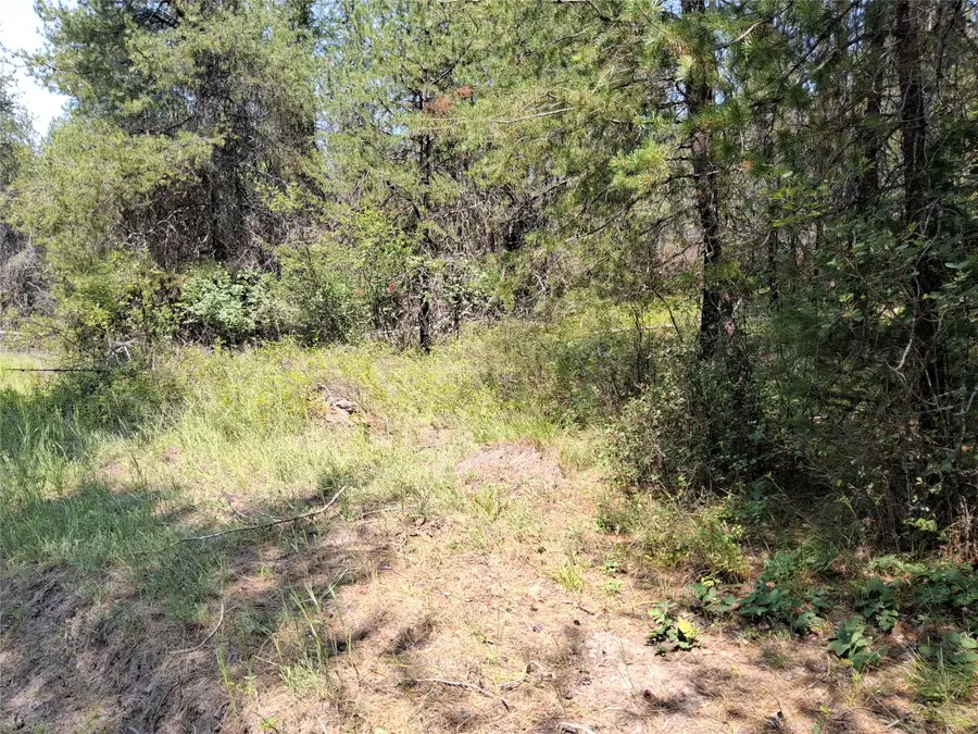 nhn Sharon Way, Saint Regis, MT 59866 - #2