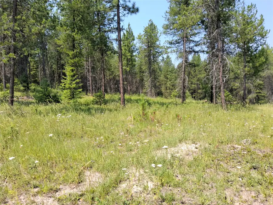 nhn Sharon Way, Saint Regis, MT 59866 - #3