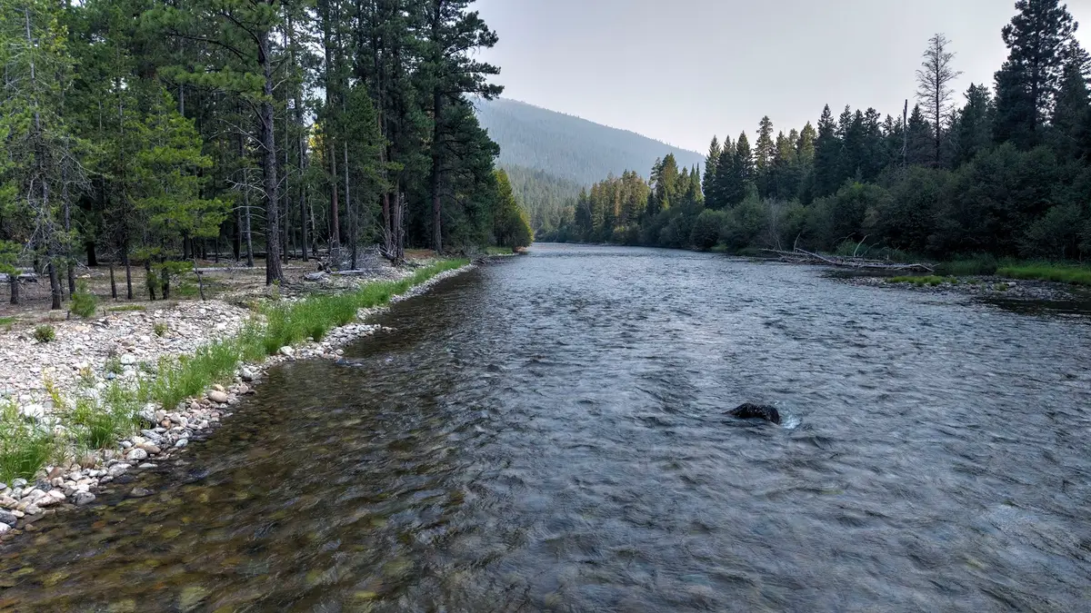 6030 W Fork Road, Darby, MT 59829 - #1